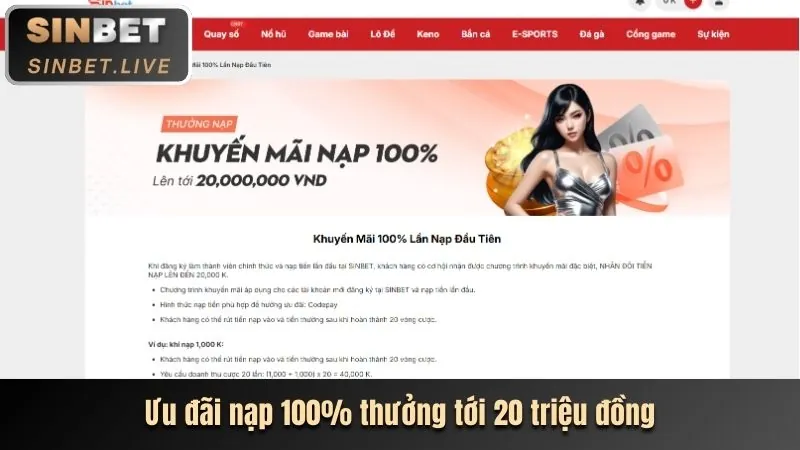 Hoàn trả cược mỗi ngày